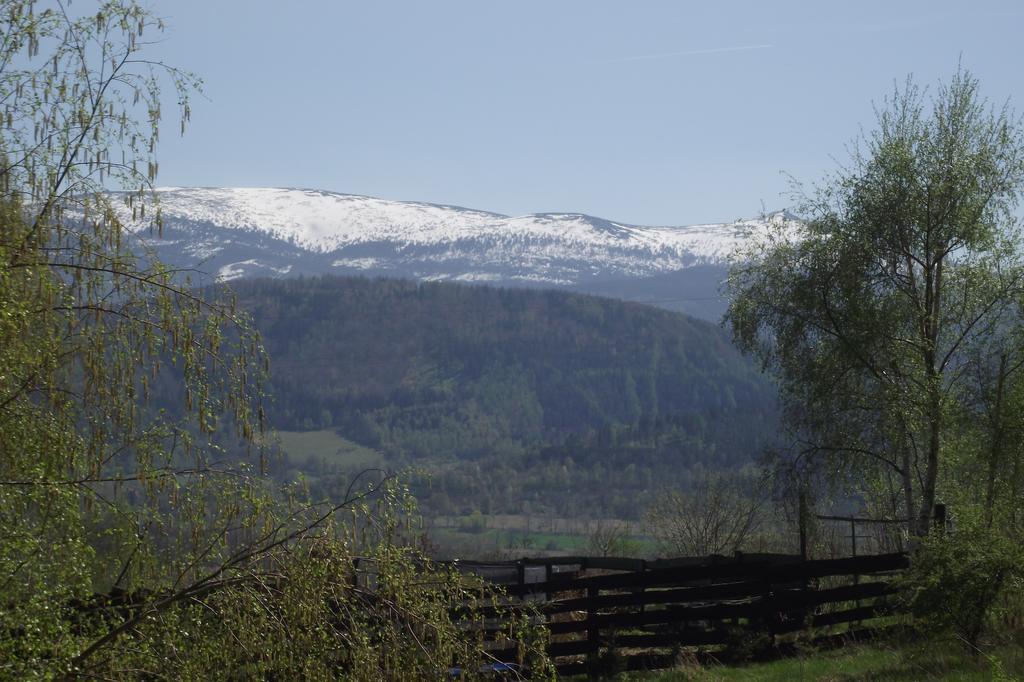Domek na Wzgórzu Wojcieszyce Exterior foto